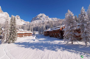 Petit Arnica Selva Di Cadore